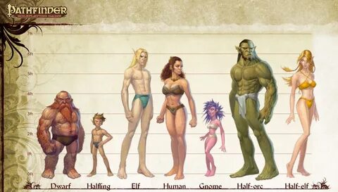 pathfinder_races.png (1251 × 711) (With images) Pathfinder r