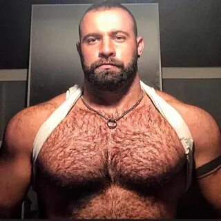 Big Guys, Cute Guys, 12 Week Workout, Certified Personal Trainer, Rugged Me...