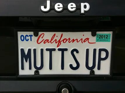 even better, it's on a jeep (wrangler I hope) Funny license 