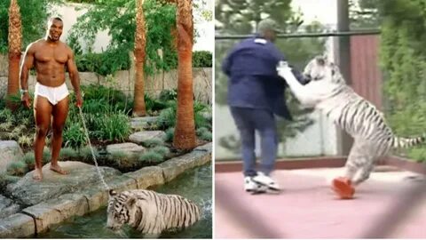 Mike Tyson Shares Crazy Story Of When His Pet Tiger Attacked