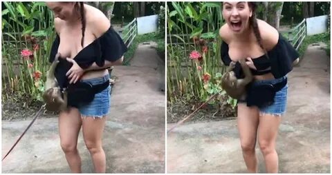 Sneaky Second-Base Simian: Naughty Chiang Mai monkey pulls d