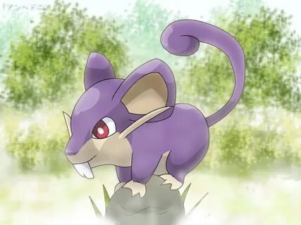 #19 - #20: Rattata & Raticate - pokemon x and y