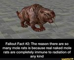 Fallout Fact #2: The reason there are so many mole rats is b
