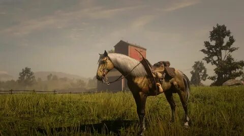 Turkoman horse from Red Dead Redemption 2. His name is Leo. 