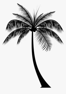 Transparent Palm Tree Silhouette Png - Silhouette Palm Trees