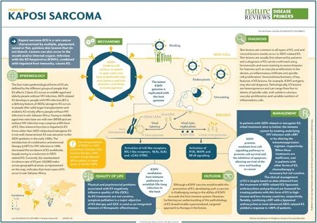 Starren Belohnung freundlich nature reviews disease primers 