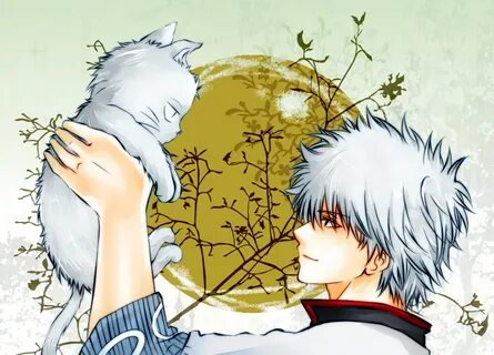 Sakata Gintoki (Gintoki Sakata) - Gintama - Image #174431 - 