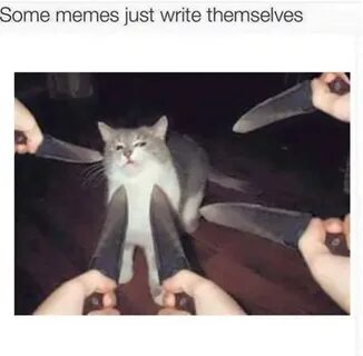 cat memes ShitpostBot 5000 Know Your Meme