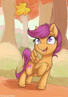 Scootaloo Thread? - /mlp/ - My Little Pony - 4archive.org