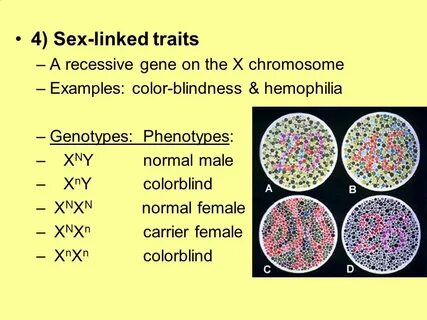 Human Heredity. - ppt video online download