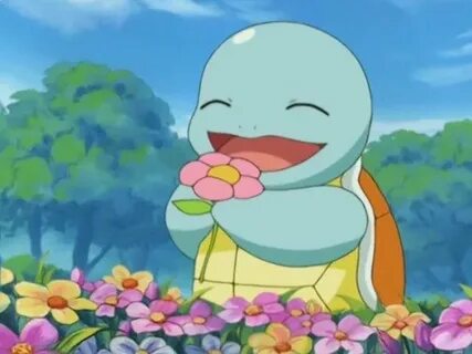 Squirtle Aesthetic anime, Anime, Cute pokemon