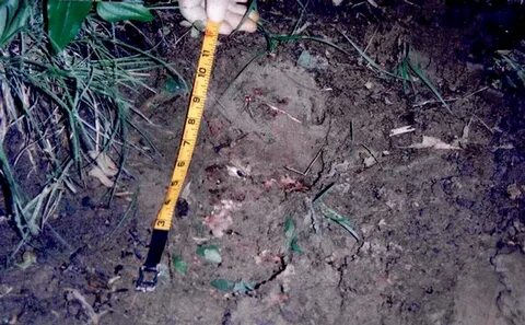 True Crime Photos: Footprint found at crime scene