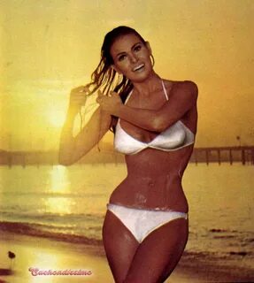 Picture of Raquel Welch