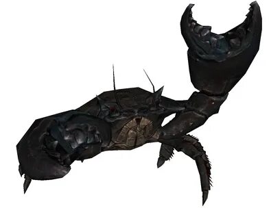 Pincer - Skyrim Wiki