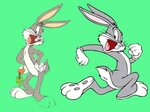 DISNEY CARTOON WALLPAPER: Looney Tunes Bugs Bunny Character 