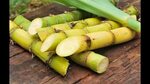 Sugar cane juice business ll tamil - YouTube