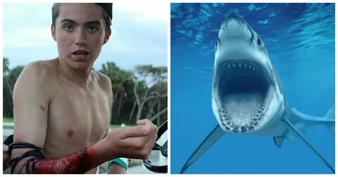 Акула напала на парня носившего браслет отпугивающий акул