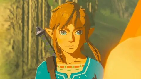 Would you want Nintendo to make a 3D Zelda with the Twilight