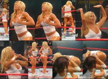 Torrie Wilson Fakes.