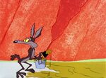 Looney Tunes Pictures: Wile E. Coyote Looney tunes, Looney t
