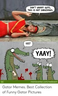 🇲 🇽 25+ Best Memes About Funny Gator Funny Gator Memes