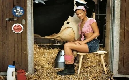 Cowgirl Milking.. - Models Female & People Background Wallpa