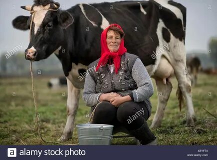 /woman+gets+milked+like+a+cow
