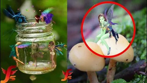 Top 5 Real Fairies Caught On Camera & Spotted In Real Life E