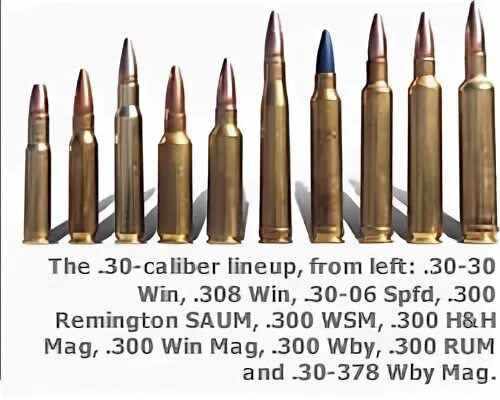 LTR в .300 RSAUM - Guns.ru Talks