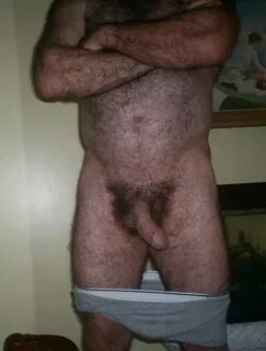 Home - Gay Hairy Bears and Daddies