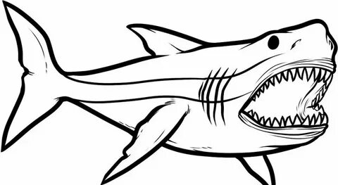 Как нарисовать акулу по шагам