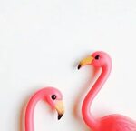 I'm all about flamingos right now. (With images) Pink bird, 