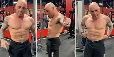 Rx Realm Joe Rogan Tried the Carnivore Diet and Looks Pretty