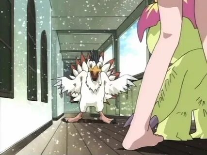 Anime Feet: Digimon- Mimi Tachikawa