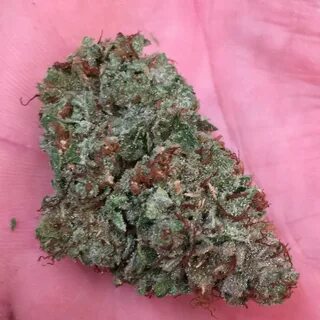 Sunset Sherbet Weed Strain Buy Weed online USA Buy Cannabis 