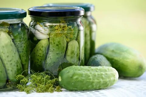 Recipe for Quick and Easy Refrigerator Dill Pickles Pickling