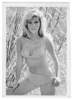 60s Pinup Photo Retro Pinup Photo 60s Singer Photo,Retro Sex