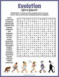 EVOLUTION & NATURAL SELECTION Word Search Worksheet Activity