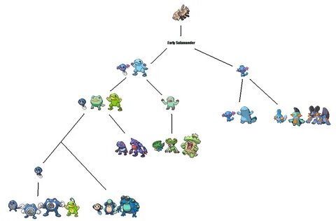 lotad evolution chart - Fomo