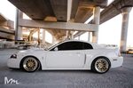 White Ford Mustang COBRA - CCW D110 Forged Wheels - CCW Whee