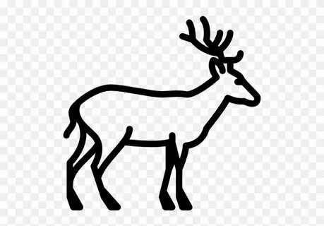 Animal Kingdom Clipart Forest - Deer Icon Black And White - 