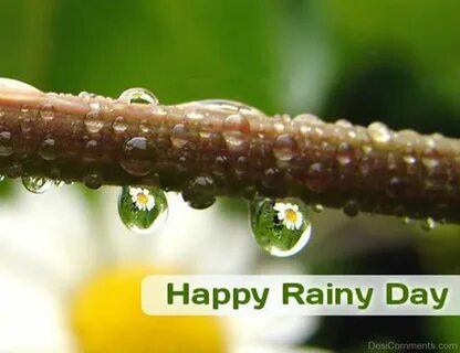 Happy Rain ! - DesiComments.com