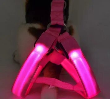 Ошейник для собак USB RECHARGEABLE CHEST HARNESS LED Pet Dog