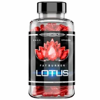 RegFarm Lotus 90 cap - Olymp Sport Nutrition