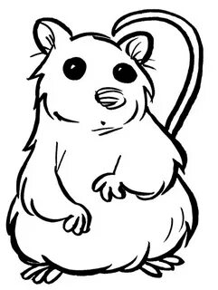 Hamster Drawing at GetDrawings Free download