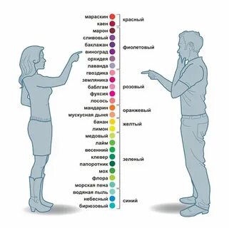 Цветоведение: Цветовые предпочтения