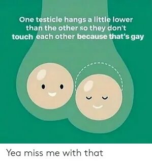 One Testicle Hangs a Little Lower Than the Other So They Don