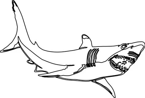 Drawn shark coloring page - Pencil and in color drawn shark 