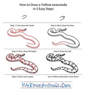 How to Draw a Yellow Anaconda
