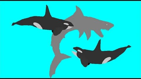 PFA - Orca vs Megalodon - YouTube